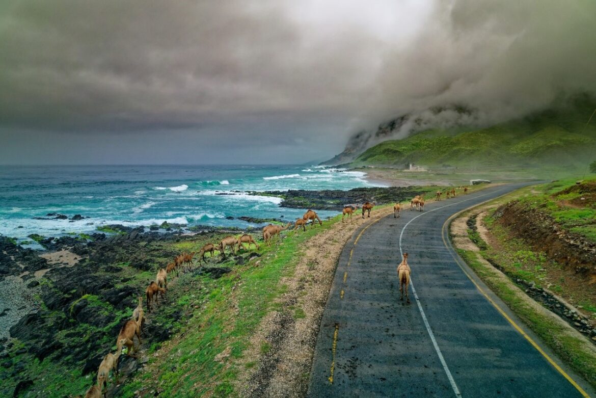 IMG-20240814-WA0014